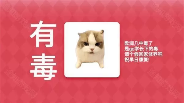 女巫的毒药猫meme版