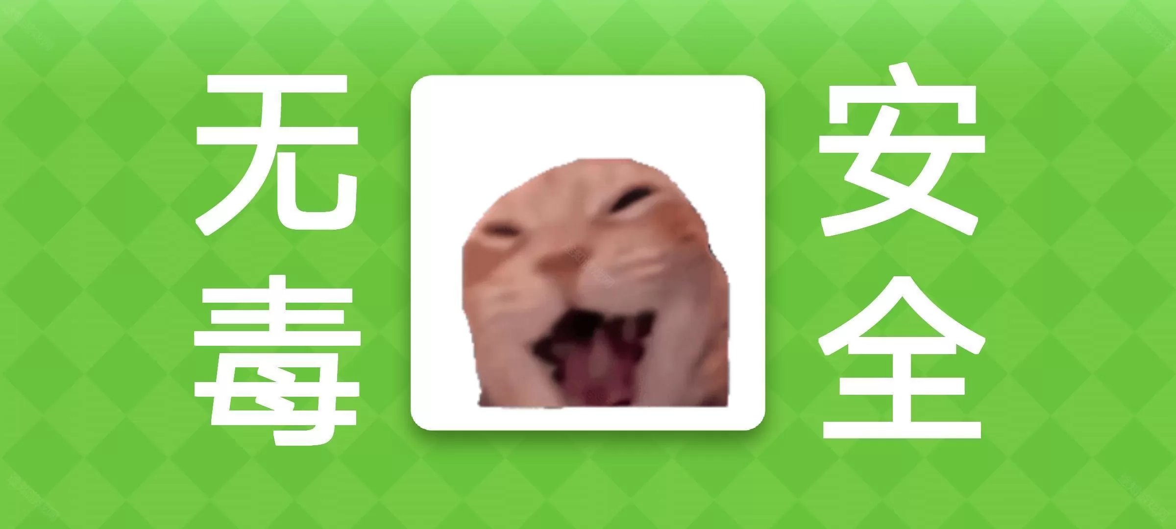 女巫的毒药猫meme版